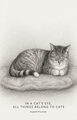 Image Not Available